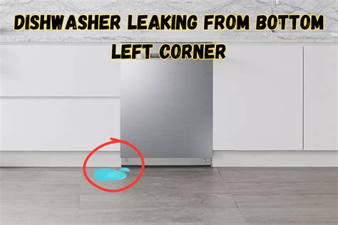 kitchenaid dishwasher door leaking|KitchenAid Dishwasher leaking: Causes + Fixes